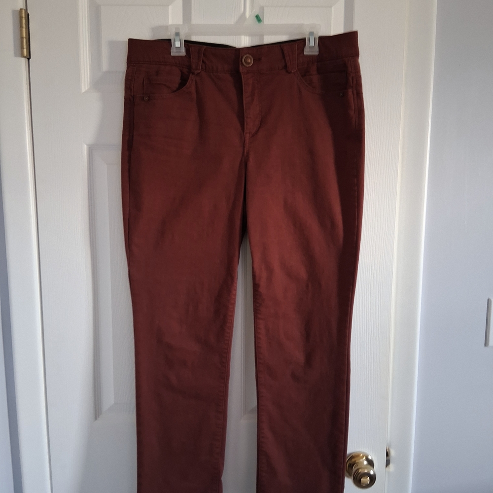Rust Red Pants - image 1